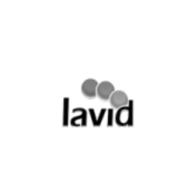 Lavid